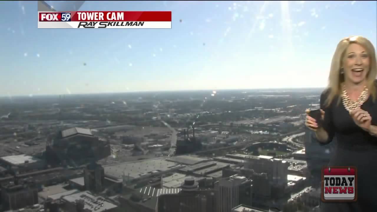 Présentatrice météo paniquée en direct après une abeille sur l'écran 🐝