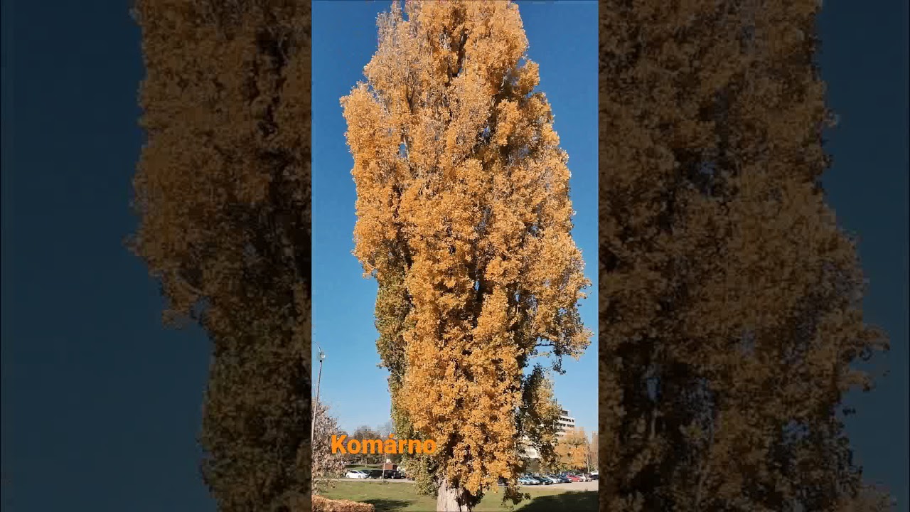 Komárno Fortress: A Historic Stronghold