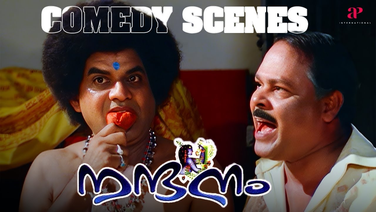 Nandanam Malayalam Movie | Comedy Scenes | Prithviraj Sukumaran | Navya Nair | Jagathy