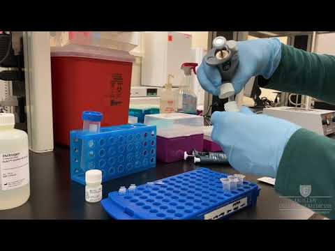 Using the Qubit Fluorometer