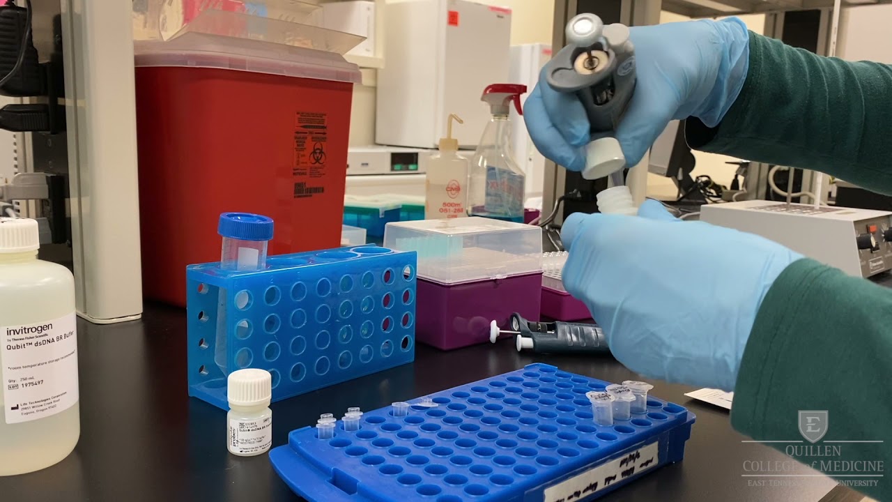 Master Nucleic Acid Quantification with the Qubit Fluorometer 🧬