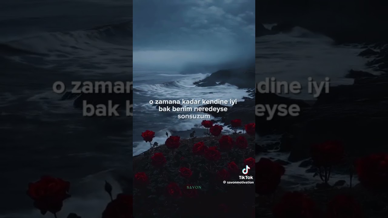 Hoşçakal En Sevdiğim Yabancı