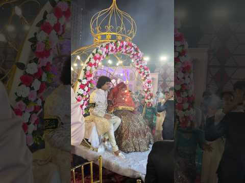 Rais Anis Sabri Wedding | Anis Sabri Shadi #anissabri #shorts #ytshorts