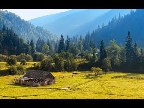 Я їду в Карпати, зелені Карпати 🚗
