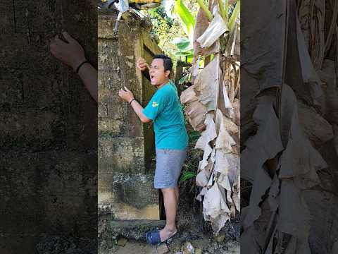 Petak Umpet #shorts #mainpetakumpet #komedi #funny #lucu #comedy