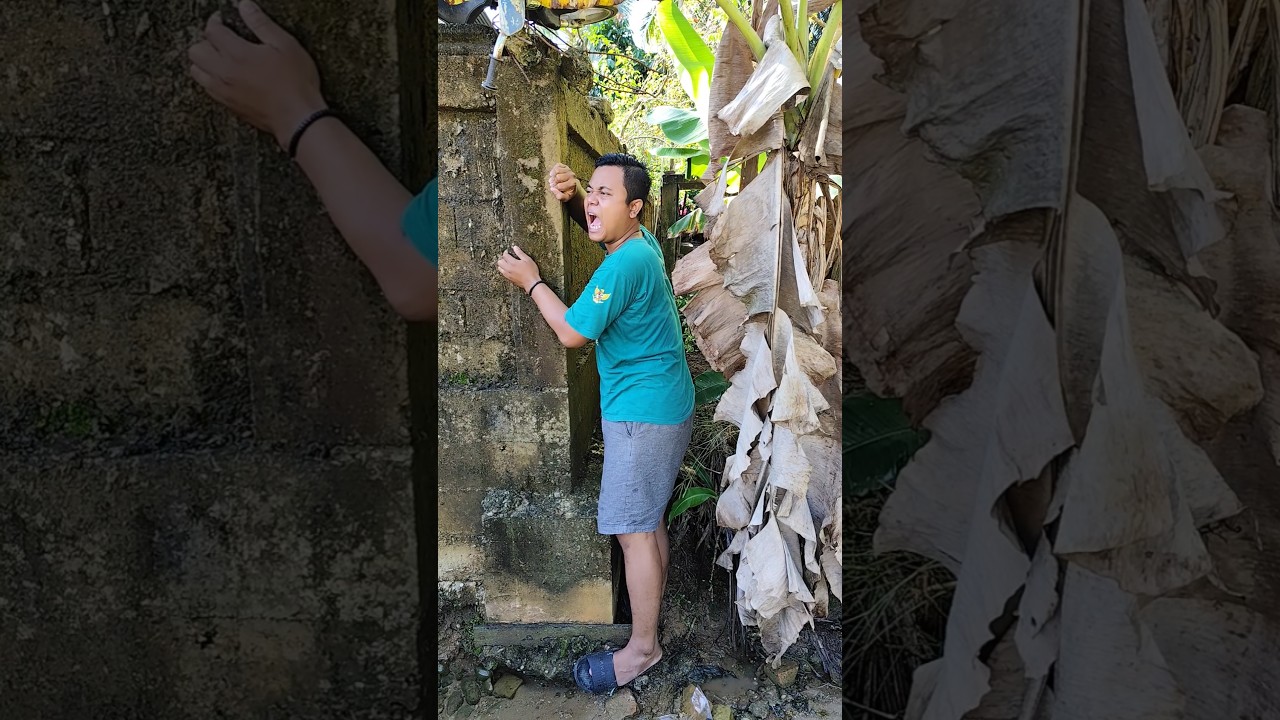 Petak Umpet Fun! 😂 #shorts #komedi