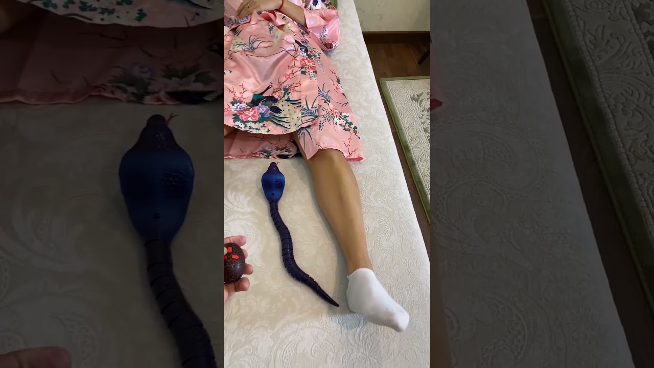 Hilarious Snake Moment! π | Tsuriki Show Shorts