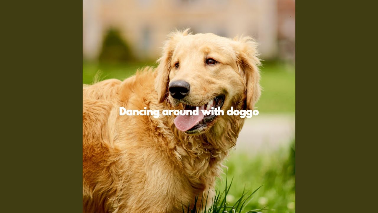 Serene Ambiance for Hope 🐶