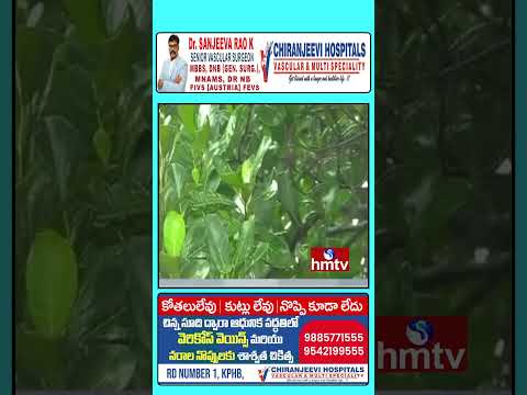 ఏపీకి వర్ష సూచన..పలు జిల్లాల్లో పిడుగులతో కూడిన వర్షాలు | Rain Alert | hmtv