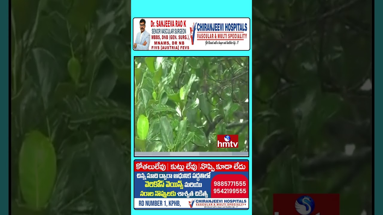 ఆంధ్రప్రదేశ్‌కు వర్ష సూచన: పలు జిల్లాల్లో పిడుగులతో కూడిన వర్షాలు ఎదురుదల ఉన్న సూచనలు