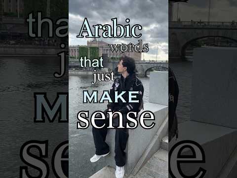 Tell your arabic friends this đź’ž #arab #memes #arabic