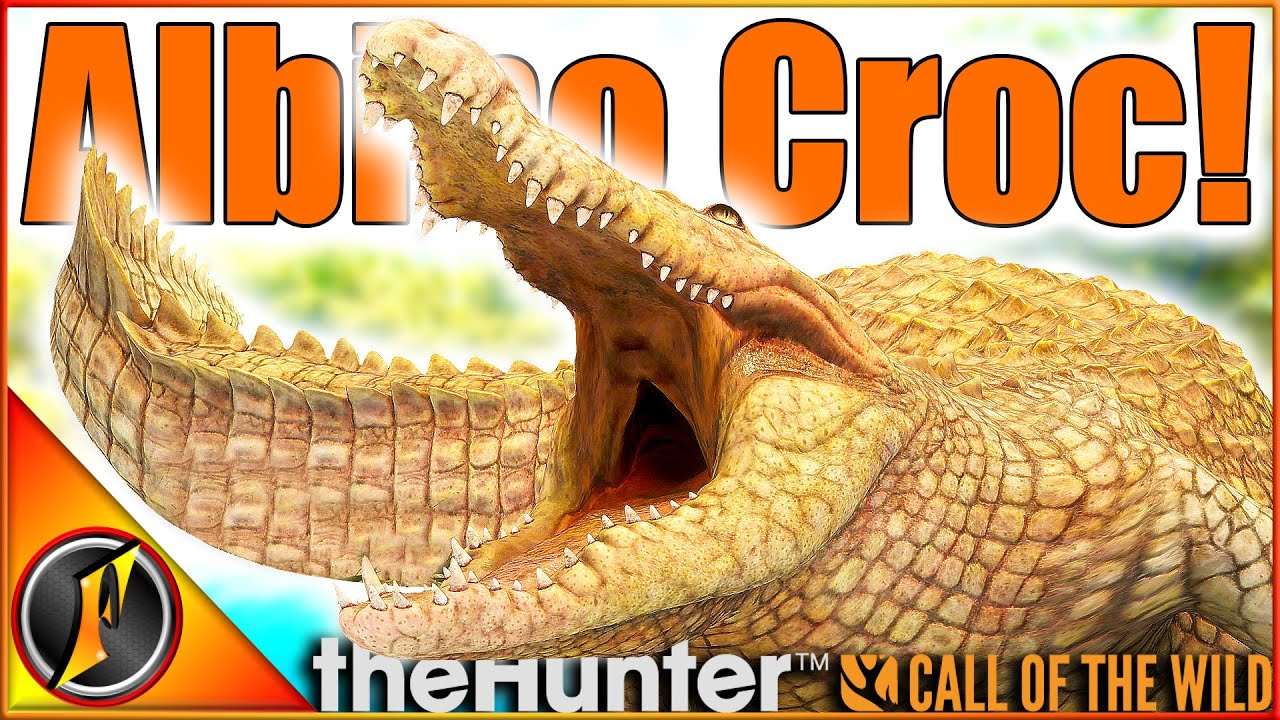 Albino Crocodile Spotted on Emerald Coast 🐊