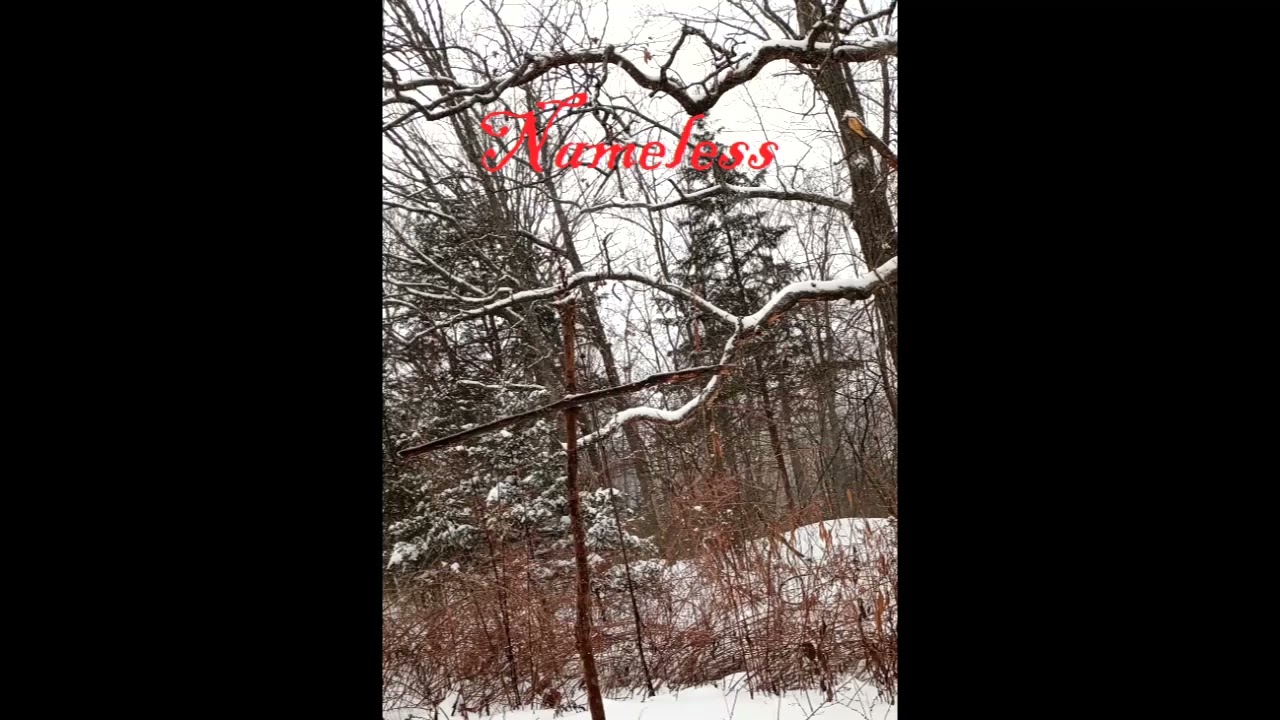 Nameless - Ballad of Lost Souls 🎶