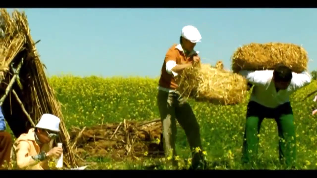 Bojalar - Anhor bo'yida 🎶