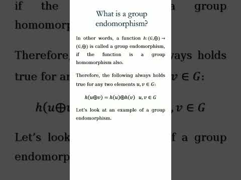 What is a group endomorphism?