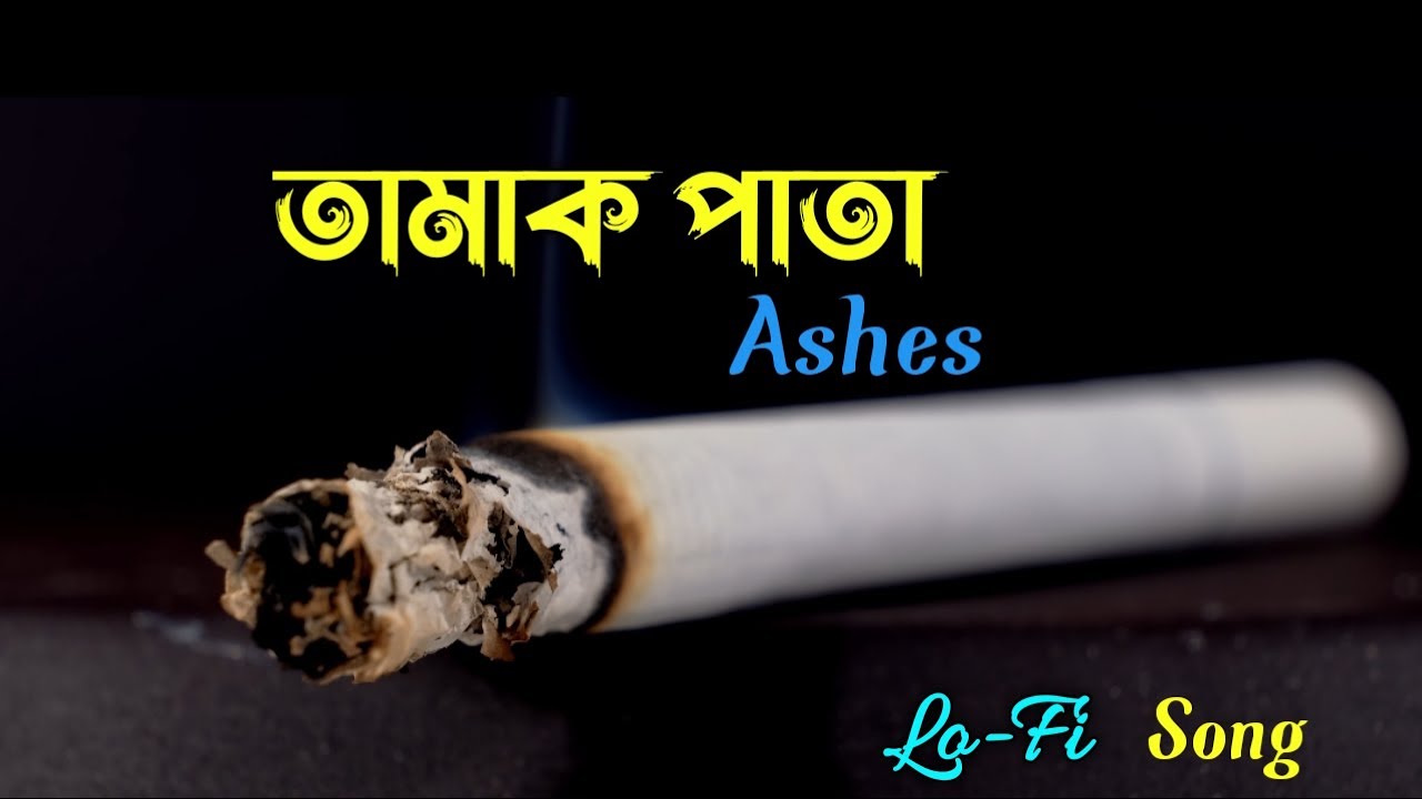 Tamak Pata (Lofi) - Ashes Band 🎶