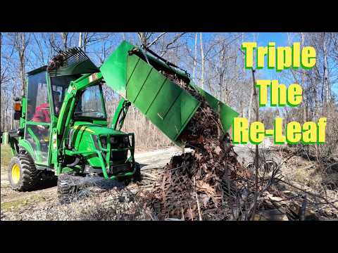 A Tale of Three Cabins