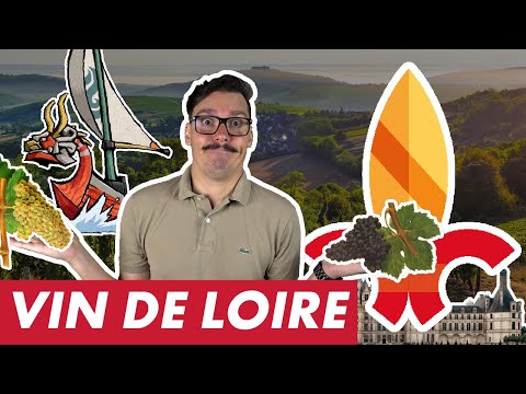 Vin'Stache #17 : La LOIRE, trop grande pour réussir ? 🍷