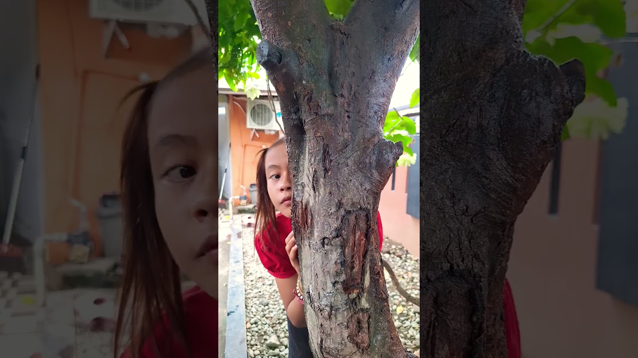 Main Petak Umpet Viral & Lucu 🤣