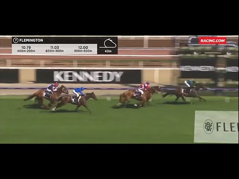 Alligator Blood 2020 Australian Guineas