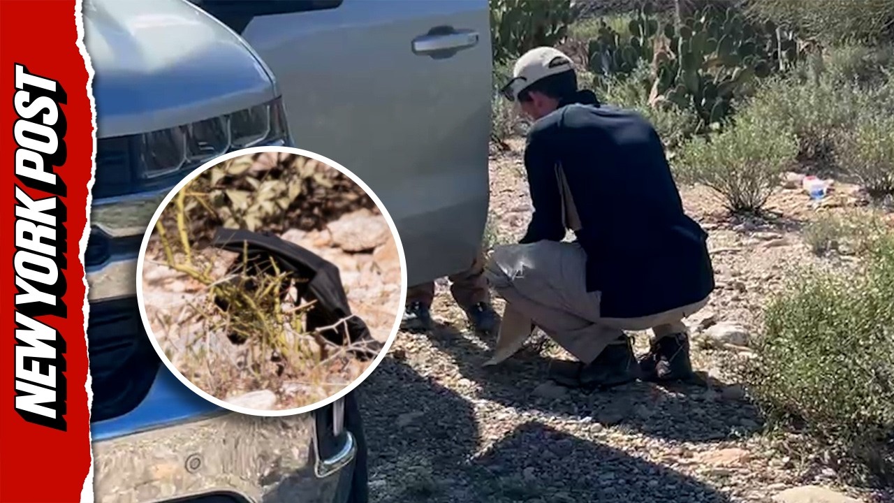 Investigators Find Black Glove During Hunt For Nancy Guthrie’s Kidnappers