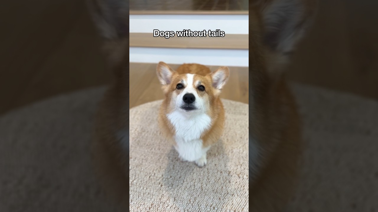 It’s Giving Him a Complex @EllieGoldenLife