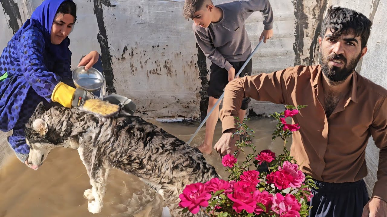 Unexpected Moments in Our Mountain Home | Bathing Alpha & Garden Work