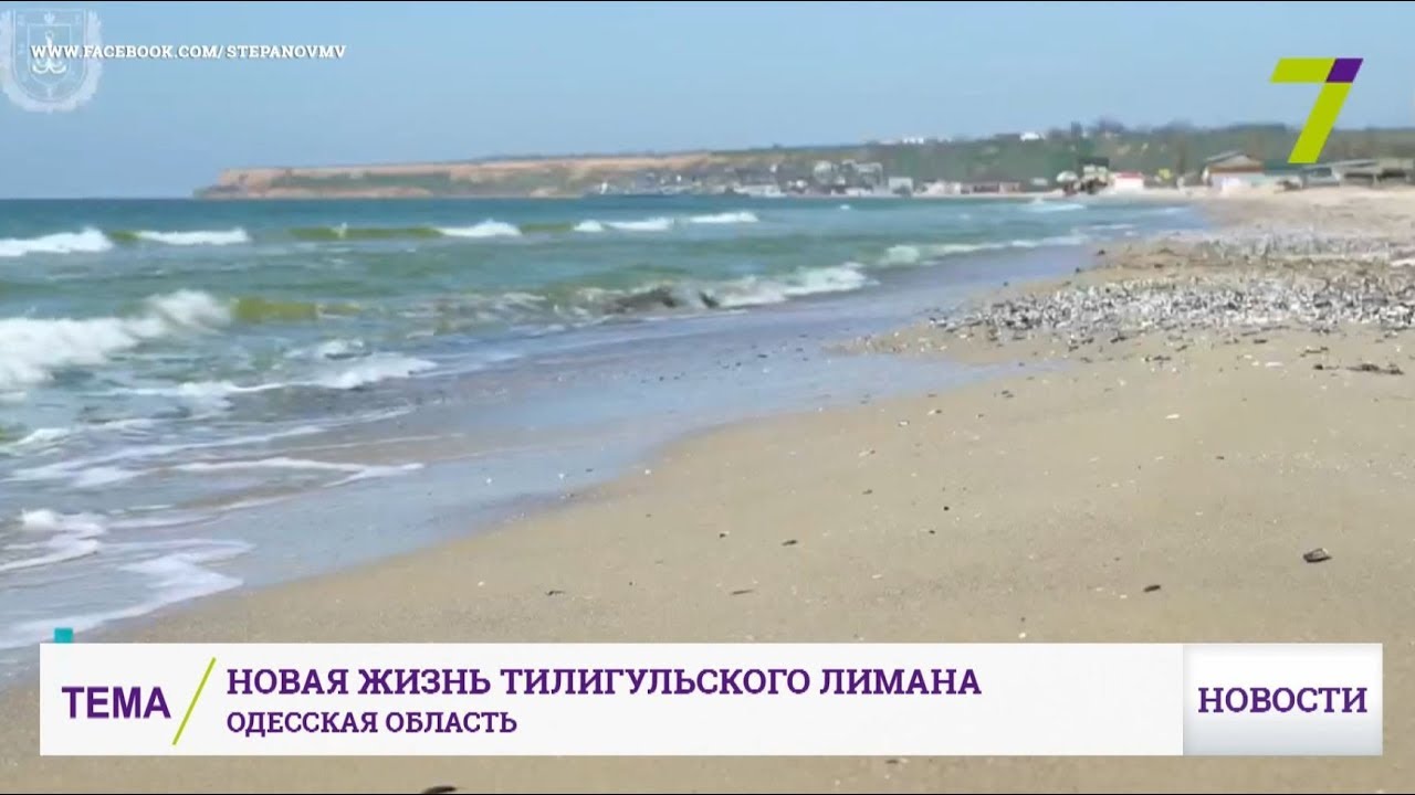 Тилигульский лиман оживает после соединения с морем 🌊