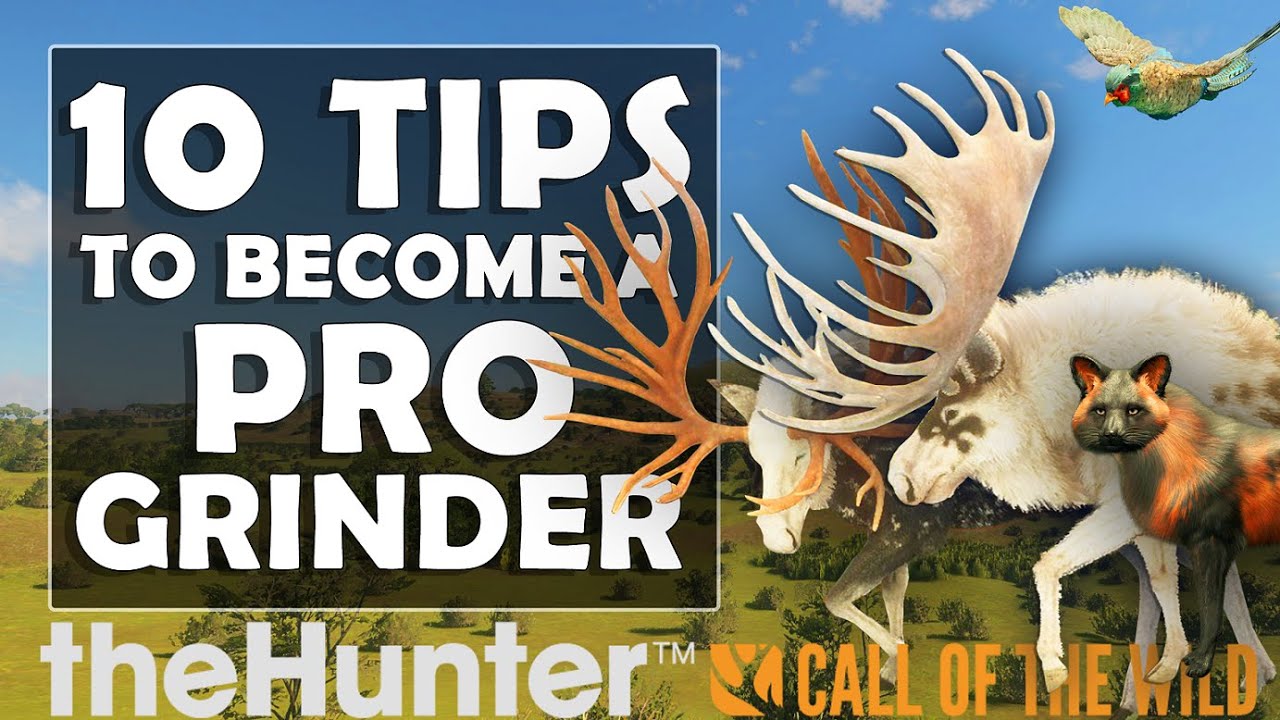 10 Tips to Become a Pro Grinder in Call of the Wild 🎯