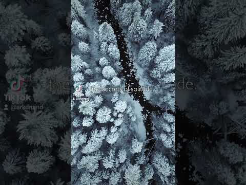 U"n Segundo" Out Now #idm #soundtrack #triphop #abletonlive #leftfield #altdance  #housemusic