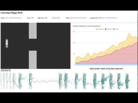 Visualizing neuro-evolution 1