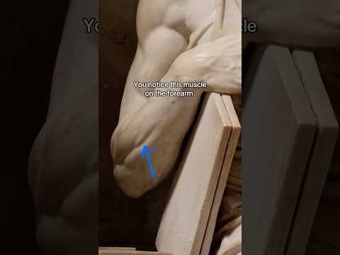 Michelangelo infused life into stone #history #art