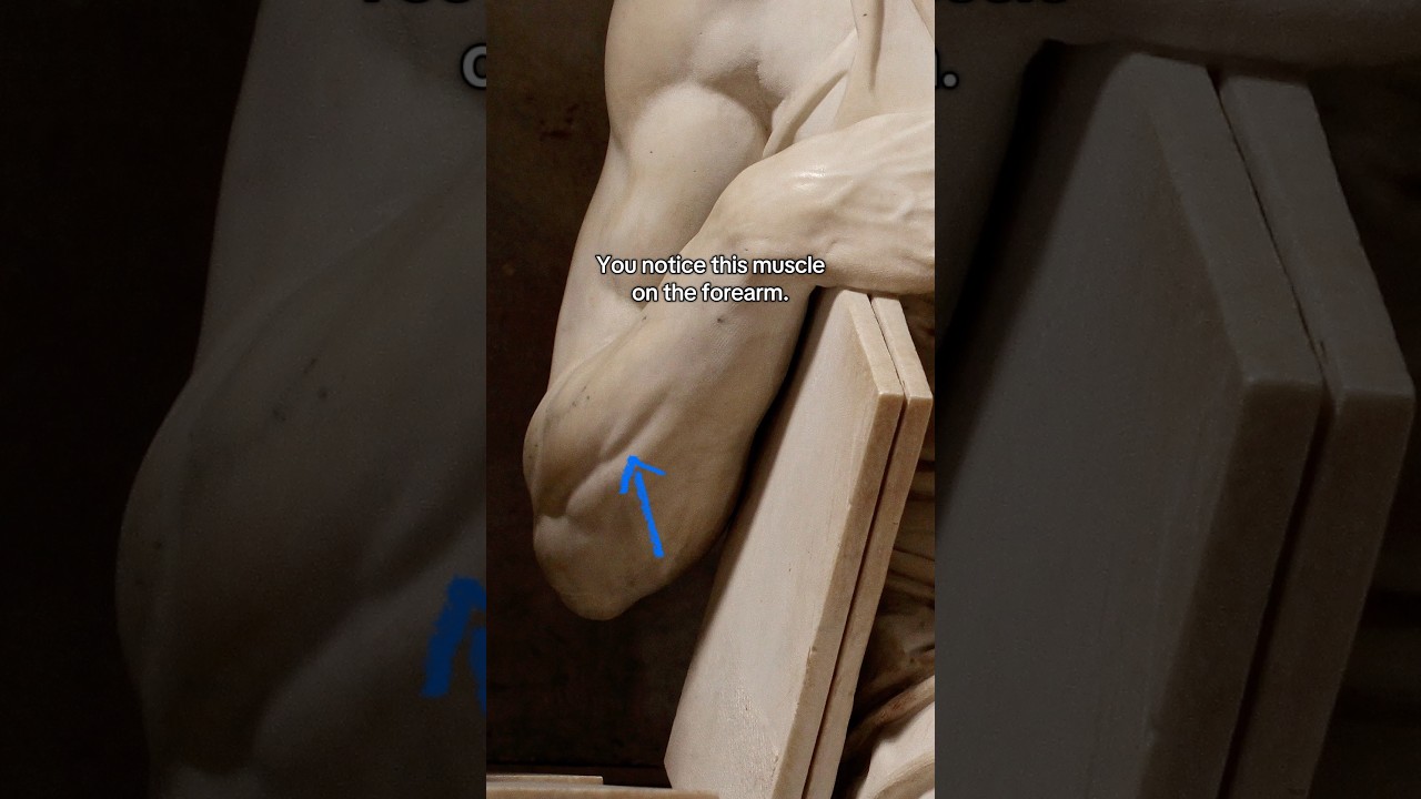 Michelangelo: The Master Who Brought Stone to Life ๐จ