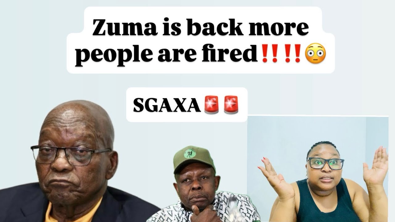 Controversy Surrounds Dr Hlophe's Political Career