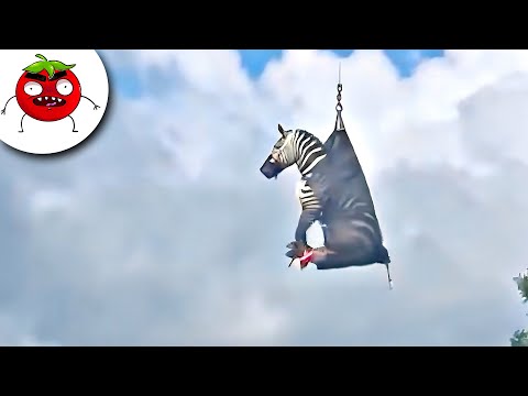 ЗАСМЕЯЛСЯ ПОДПИСАЛСЯ | Тест на Психику Челендж | ЛУЧШИЕ ПРИКОЛЫ 2025 года | УГАР #147