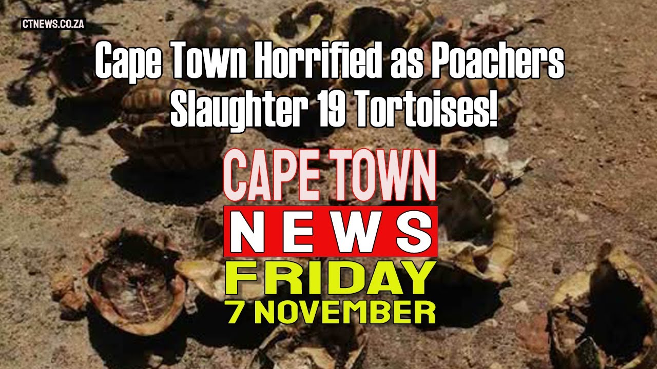 Cape Town News | Nov 7, 2025 β Western Cape Headlines