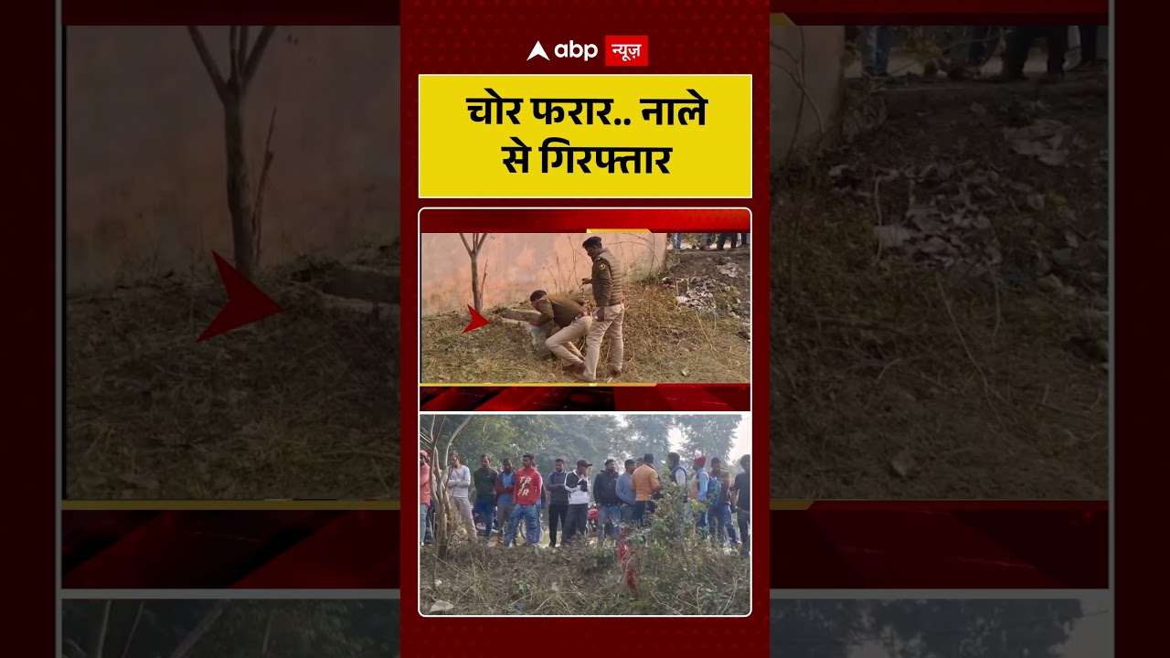 Viral News: चोर फरार...नाले से गिरफ्तार | Breaking News | Local News | Shorts