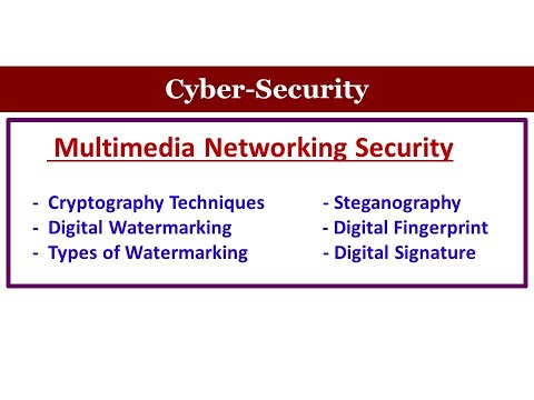 Multimedia Network Security | Authentication | Digital Signature |Digital Fingerprint |Steganography