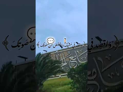 القارئ ياسر الدوسري تلاوة تريح القلب🌱❤️‍🩹 #قران #رمضان_مبارك #رمضان #صلاة #قران_كريم 🫀