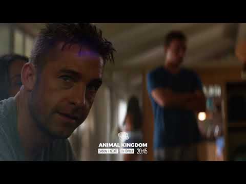 Animal Kingdom Saison 1 sur Warner TV 📺