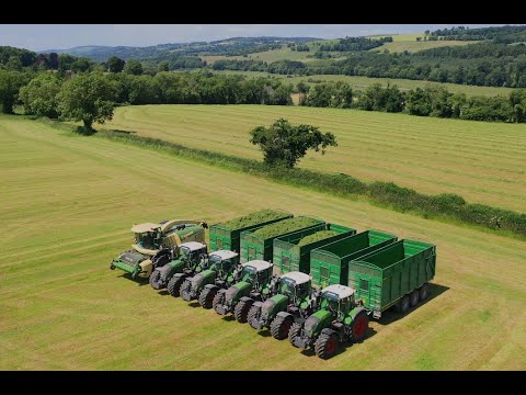 Bryan Bros Silage Harvest Near Lismore 🚜
