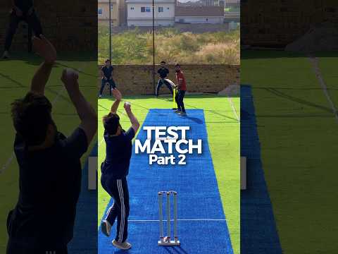 (Part 2) 1 vs 1 vs 1 Test Match Went Low Scoring Thriller! Backyard Cricket #cricket #testmatch