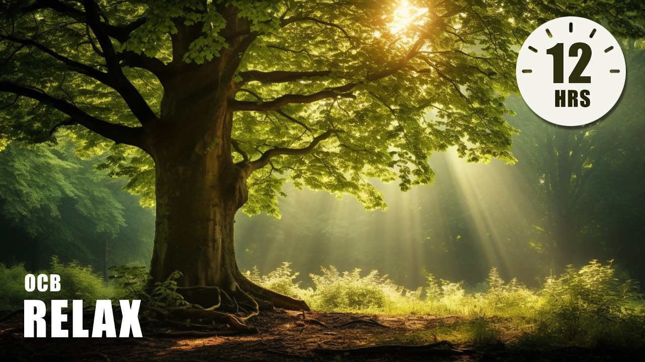 12 Hours of Relaxing Music - Piano Music for Stress Relief, Sleep Music, Meditation Music (Iris)