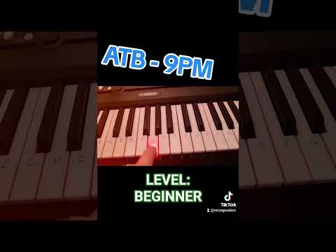 ATB - 9PM (Level beginner 🎹  trial) #beginner #keyboard #trial #atb #9pm