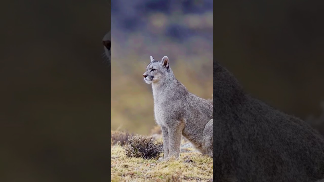 Take a Break in Nature 🌿