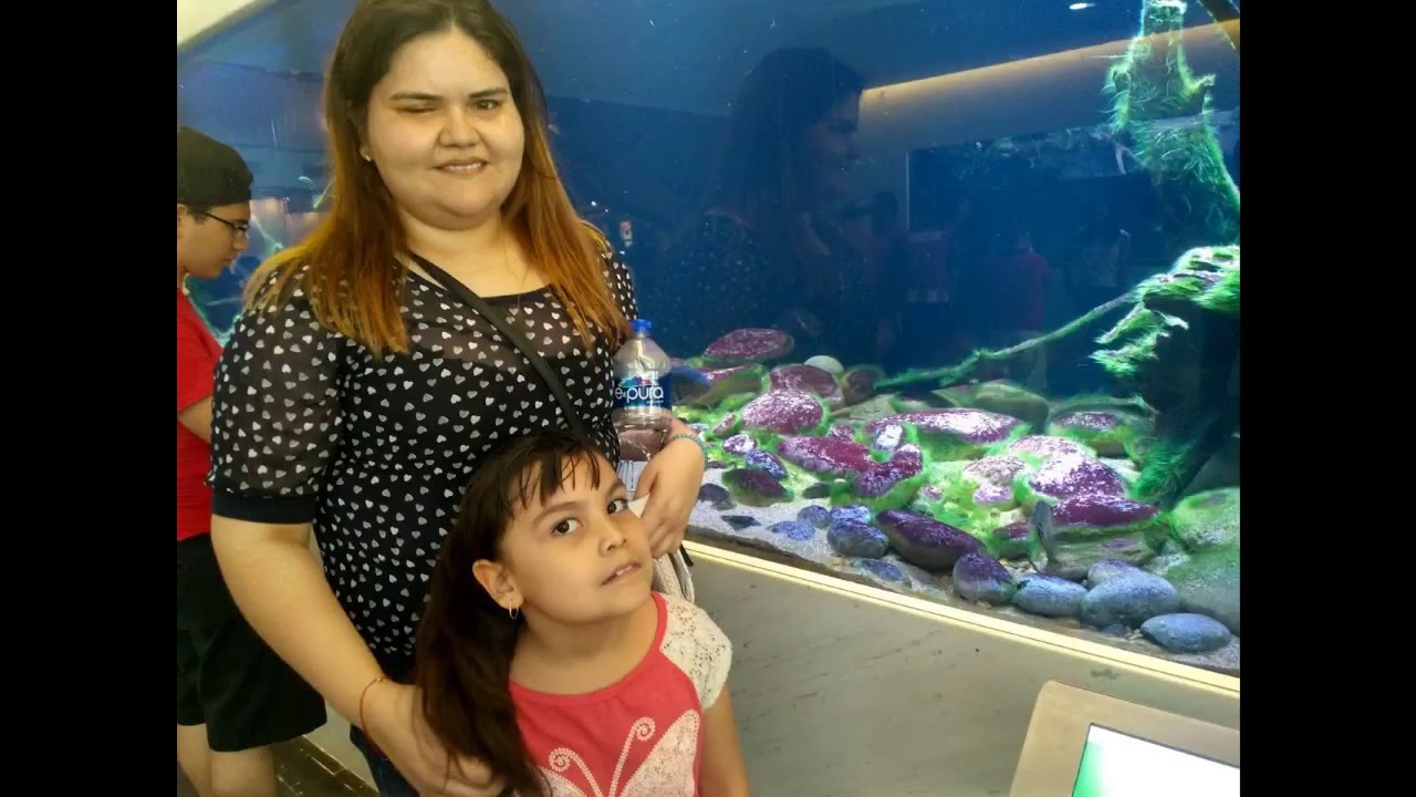 Recuerdos Alfa por Laura Contreras