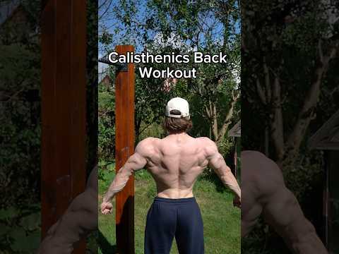 Calisthenics Workout Builds Anime Back #workout #calisthenics