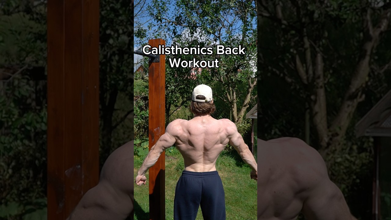 Calisthenics Workout Builds Anime Back #workout #calisthenics