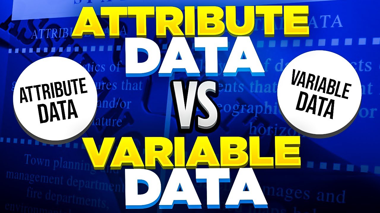 Attribute Data vs Variable Data Explained 📊