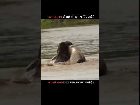 ATTITUDE SIGMA COLLECTION #ATTITUESHORT